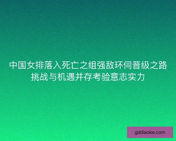 中国女排落入死亡之组强敌环伺晋级之路挑战与机遇并存考验意志实力